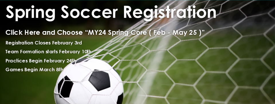 Play Spring Soccer